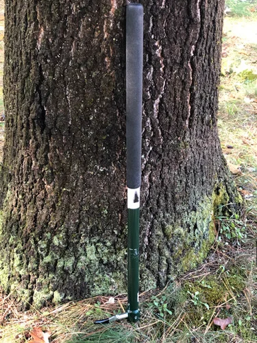 newenglandpine202606041757022738863